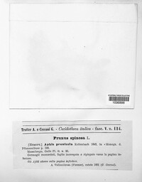 Image Associated With the Occurence